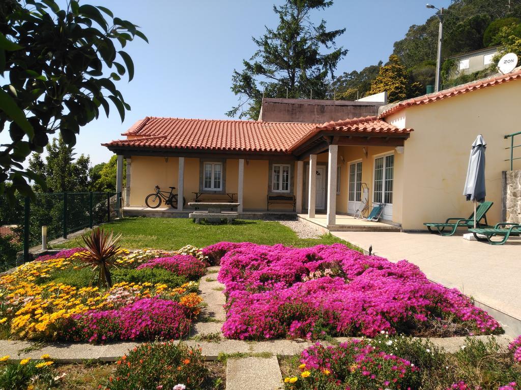 Lovely Sunny-House Viana do Castelo Eksteriør billede